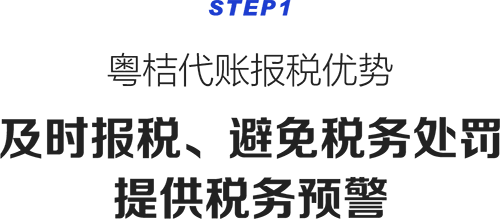 及时报税、避免税务处罚、提供税务预警